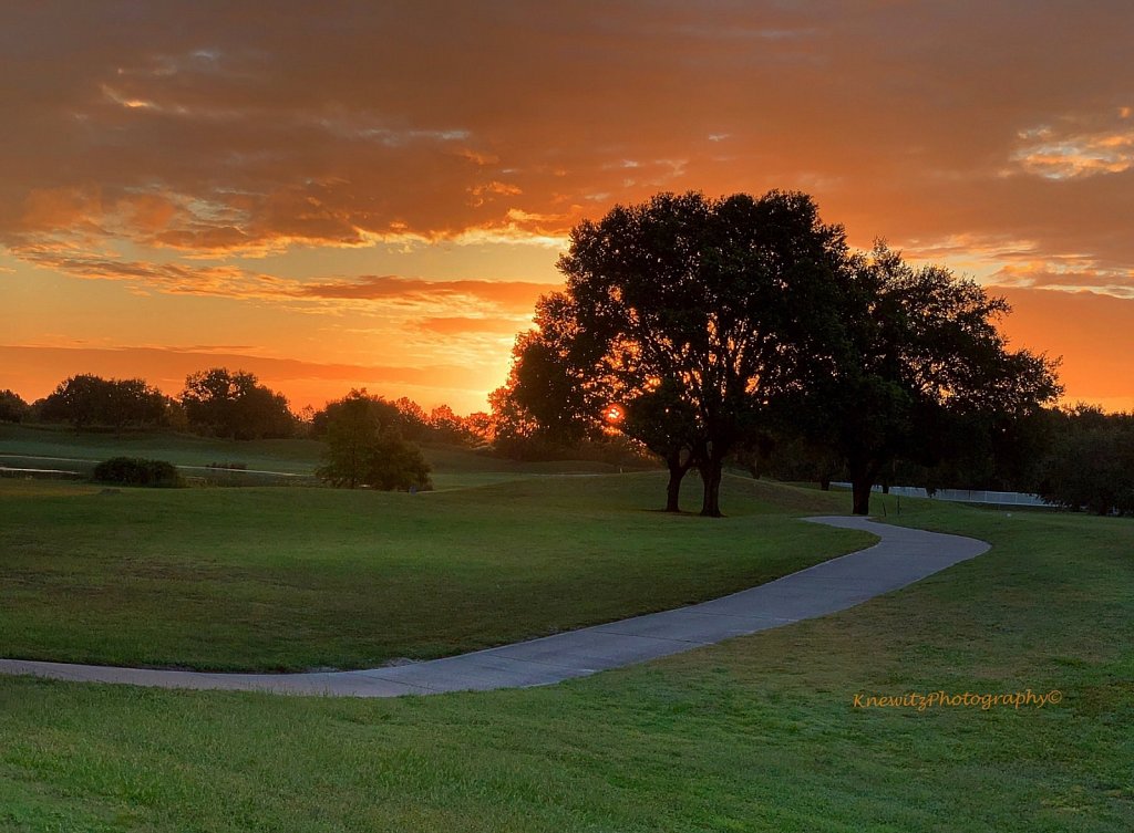 Vibrant Sunrise