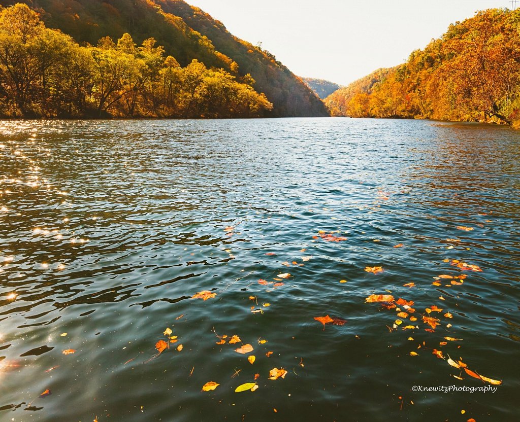 Lake Fontana 