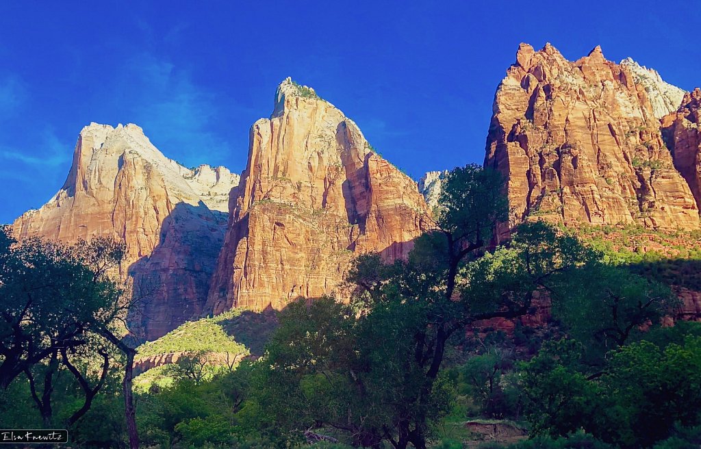 Zion Park Giants