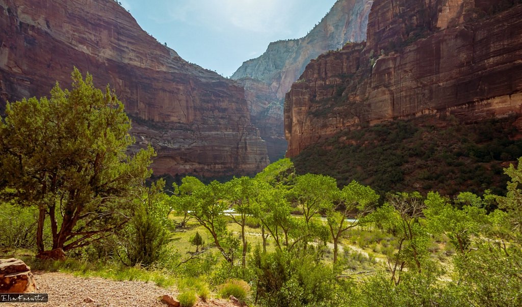 Mountain Creek in Zion Park