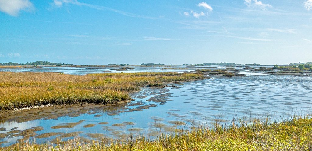 Florida Wettlands