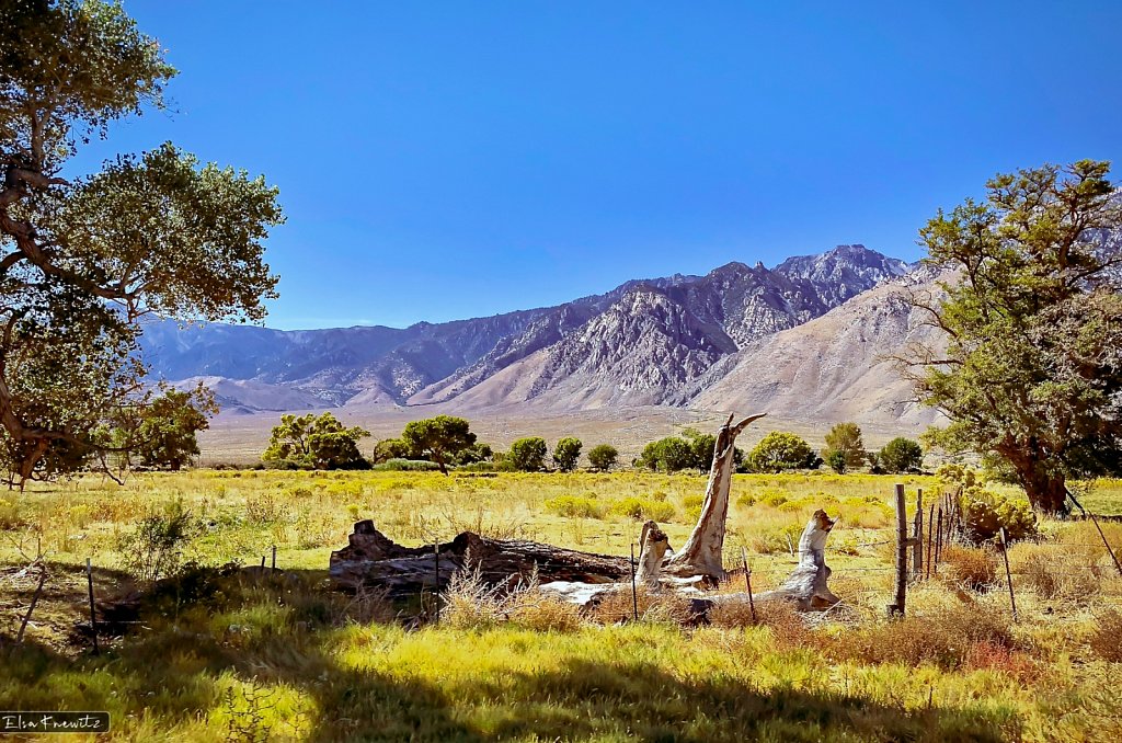 Olancha, California