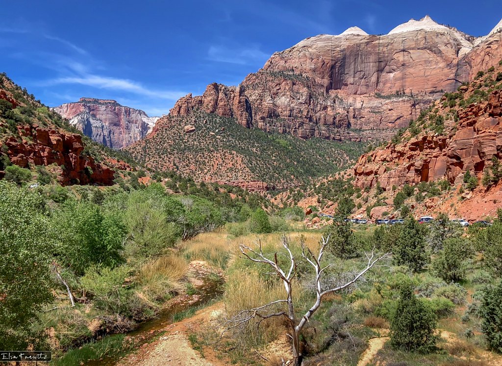Leaving Zion Park