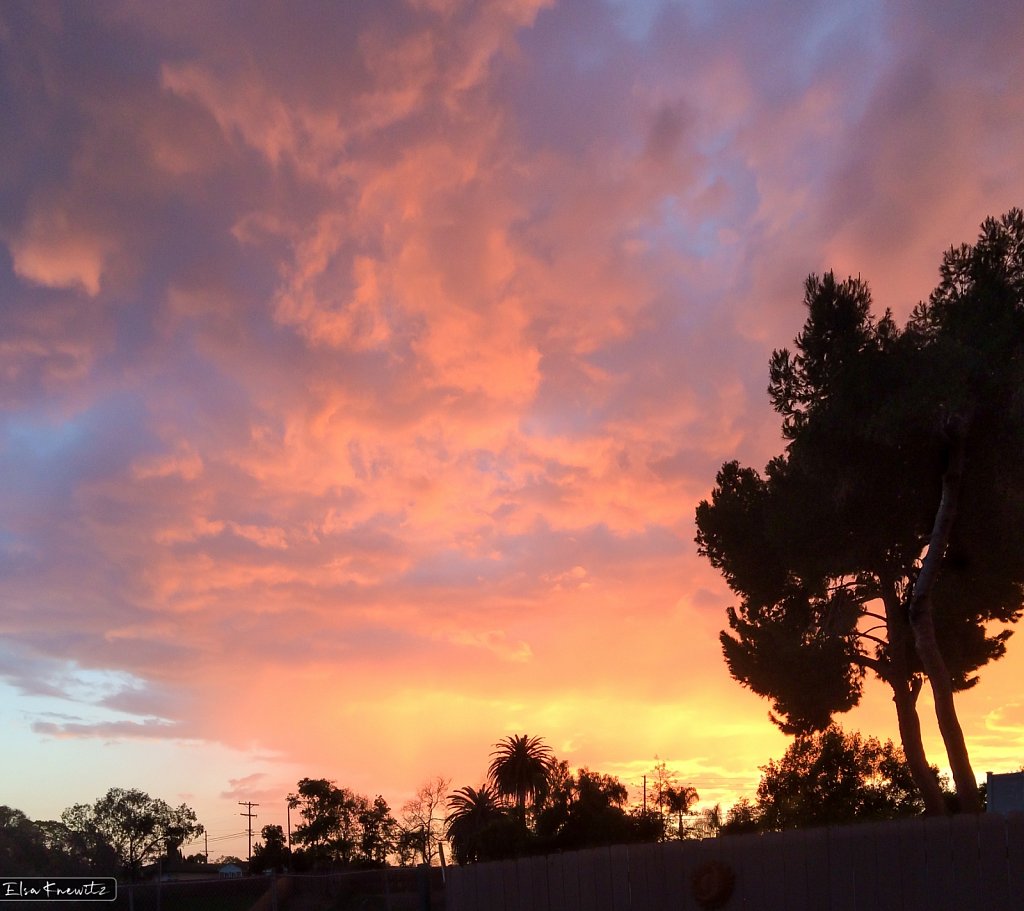 San Diego Sunset