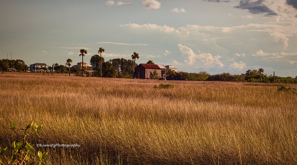 Nature Coast