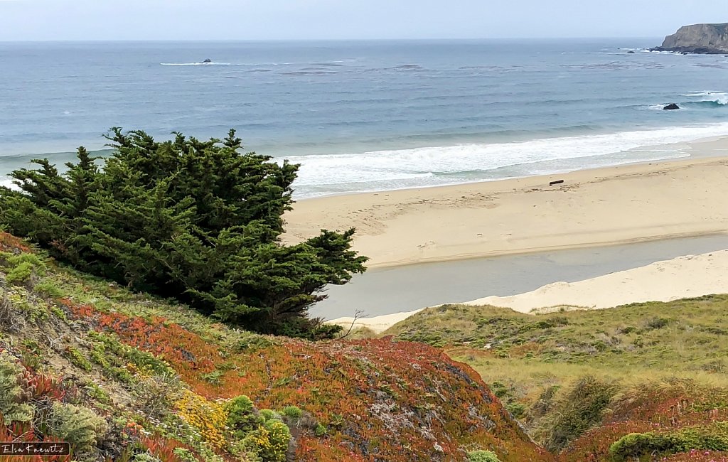 California Coastline