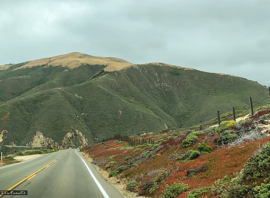 Driving North on Pacific Highway 1