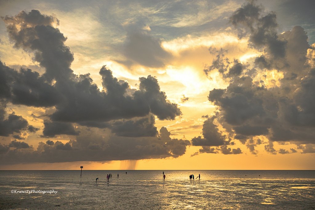 Golden Sunset