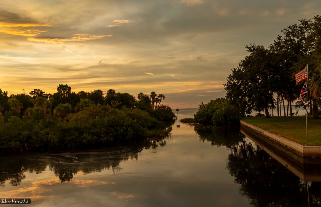 Sunny Pine Island