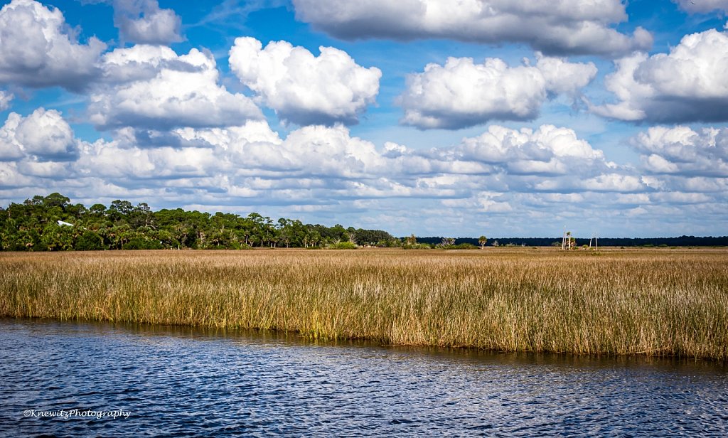 Nature Coast