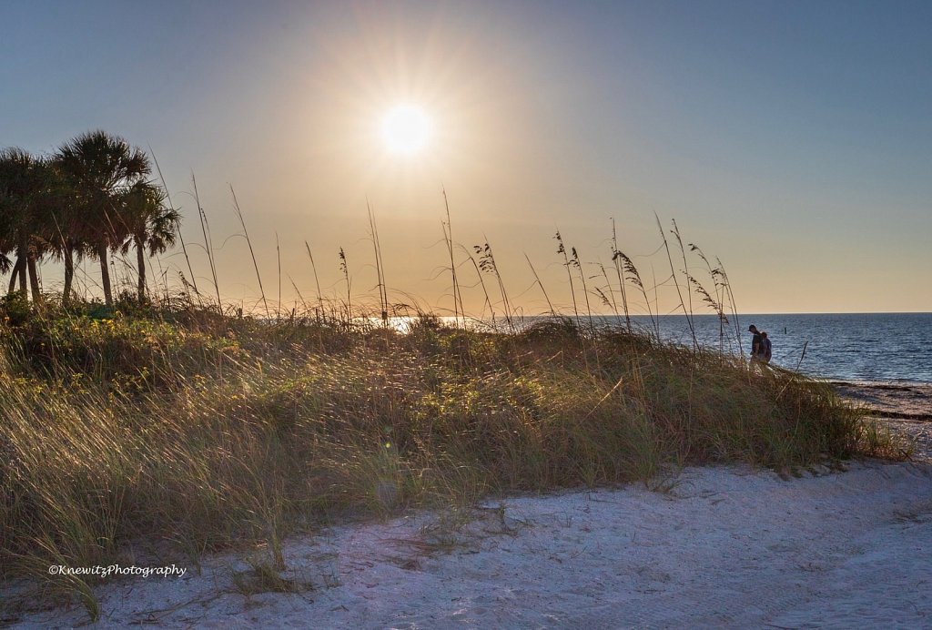 Beach Walk 