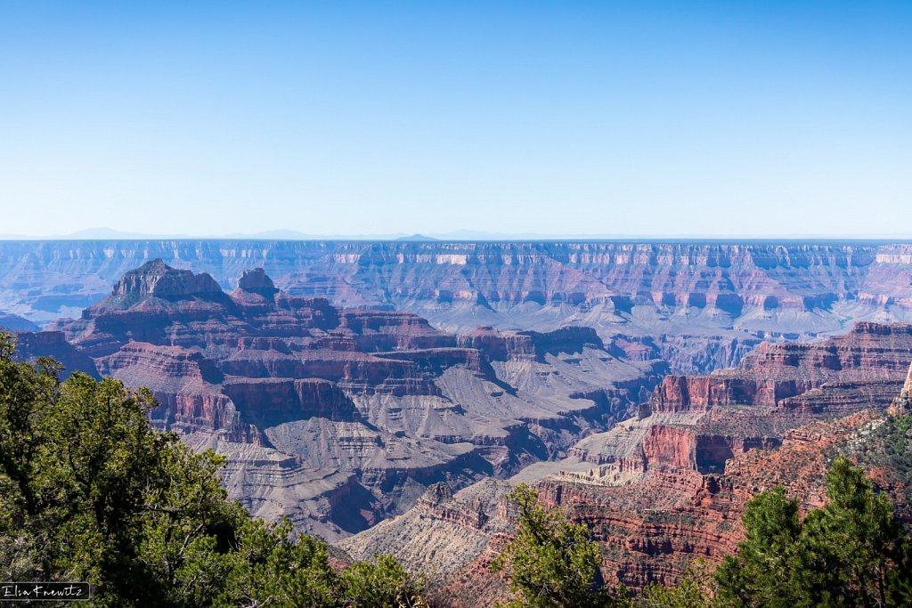 The Famous North Rim
