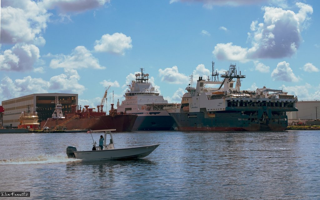 The Harbor of Tampa