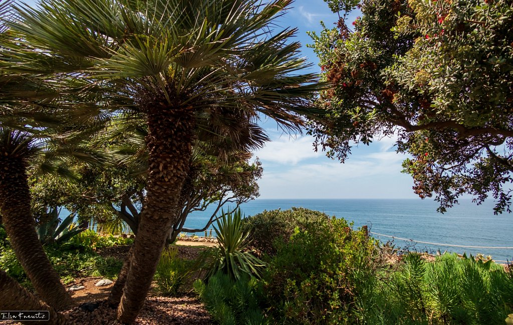 View of the Pacific Ocean