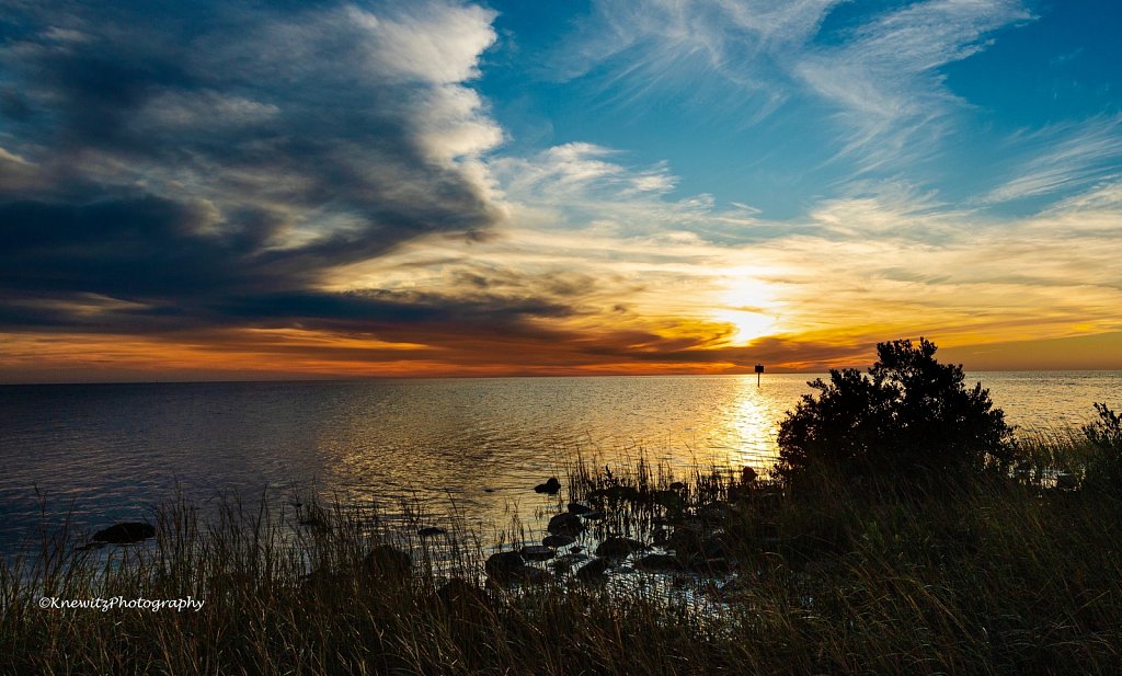 Pine Island Park