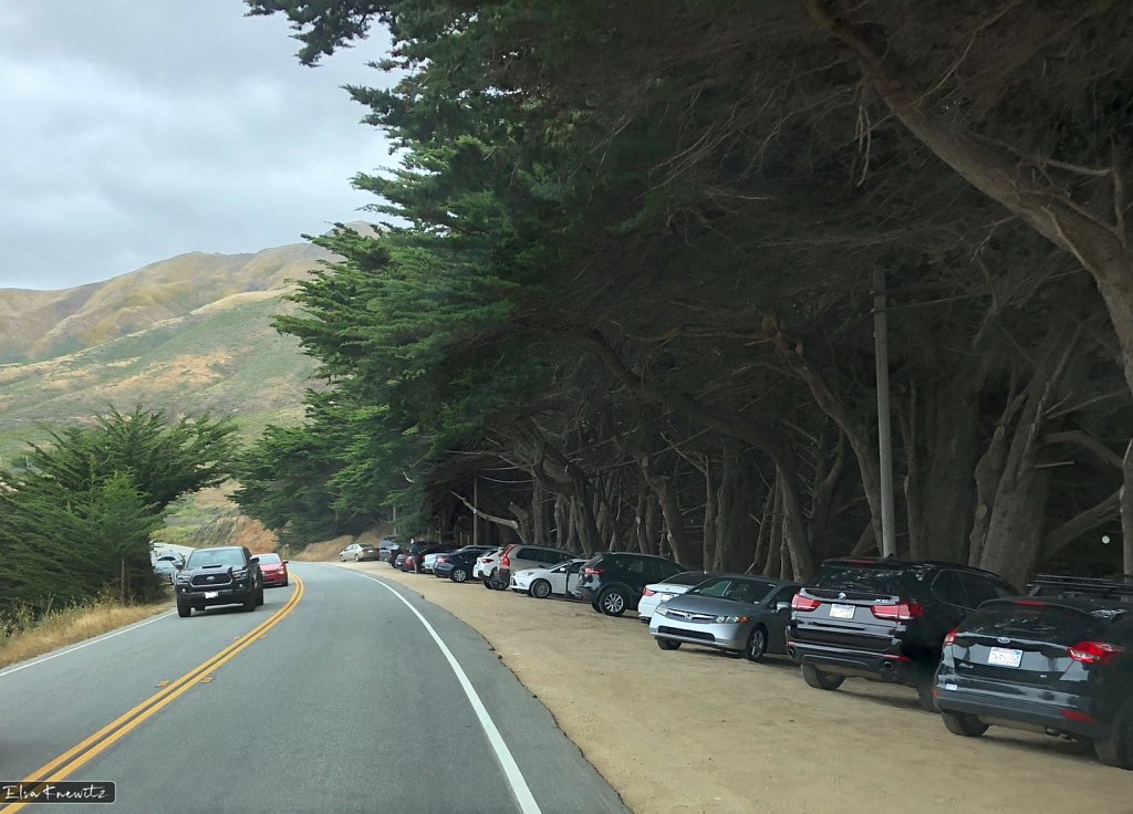 Hiking along the Pacific Coast