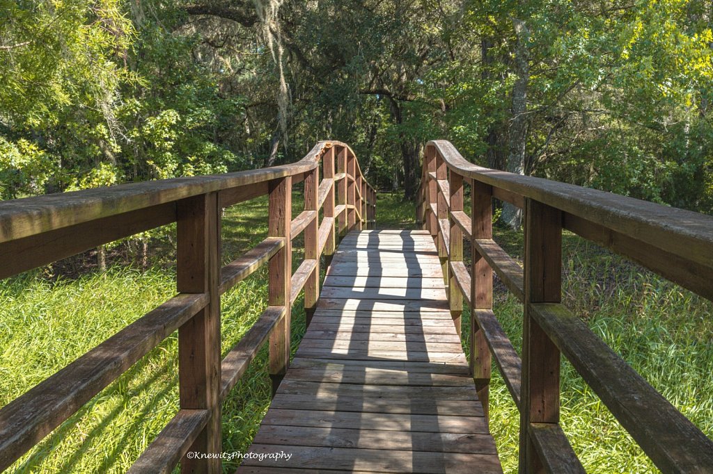 Bridge at the Lake 