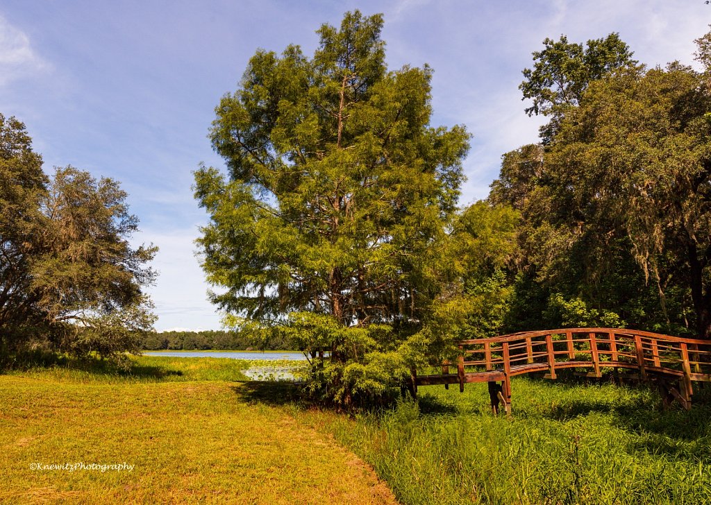 Peaceful Scenery