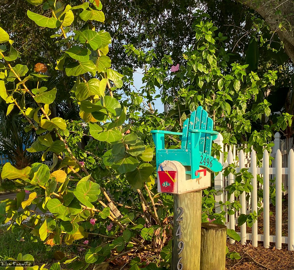 Florida Mail Box