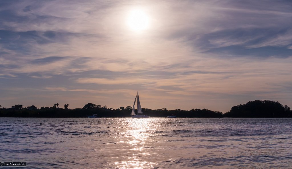 Hazy Afternoon