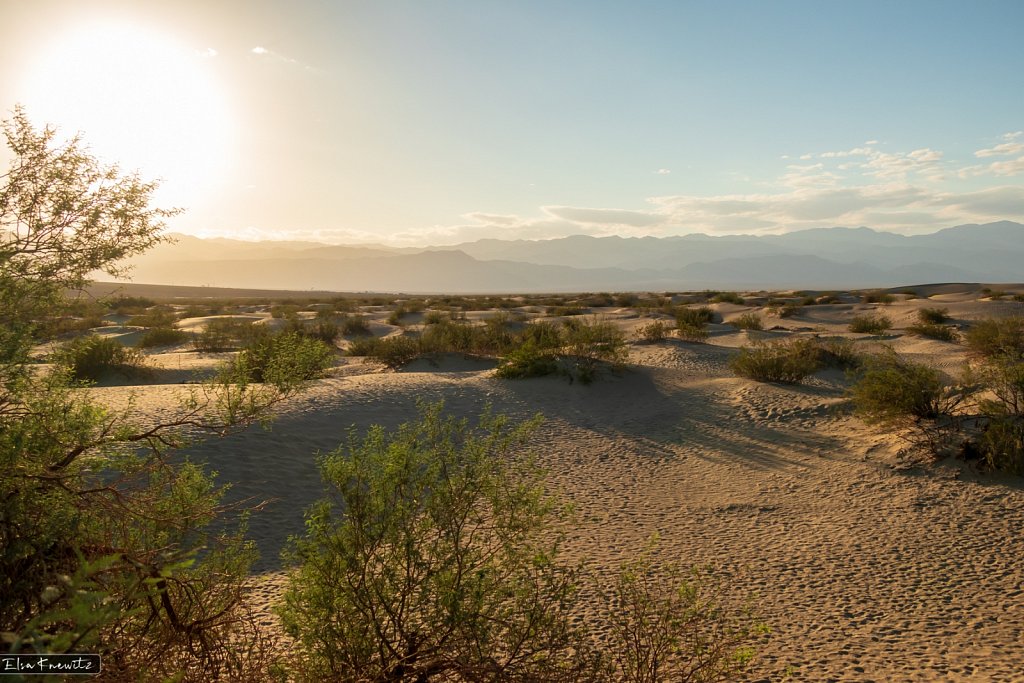 Mesquite Flat Sand Dunes