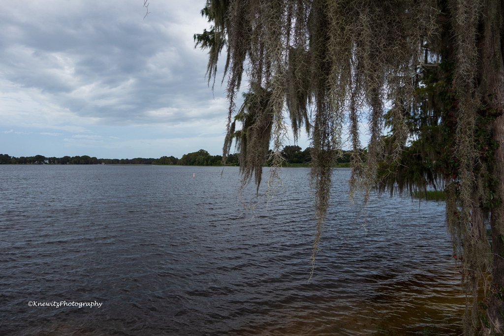 Henderson Lake