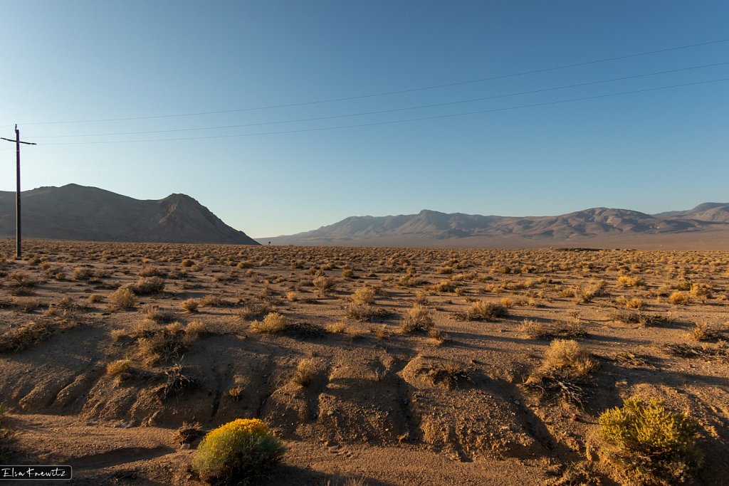 High Desert Morning