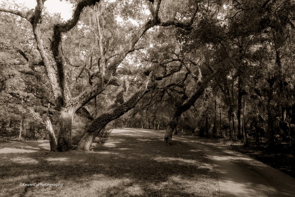 McKethan Park
