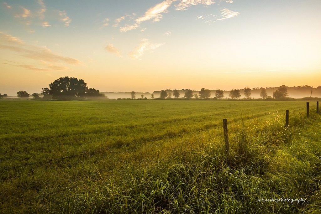 Foggy Morning