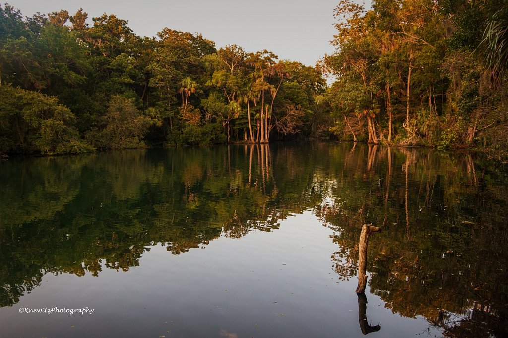 Chassahowitzka River