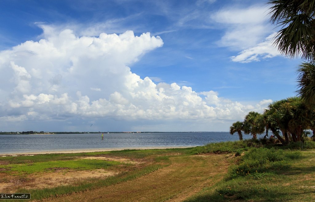 Fred Howard Park