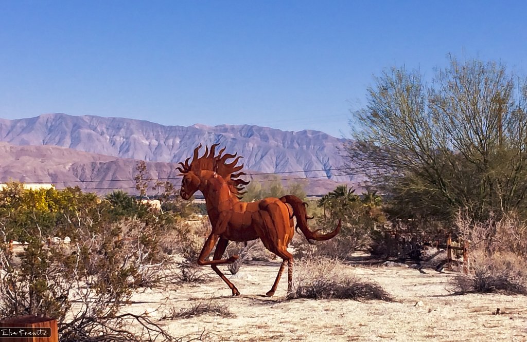 Desert Art