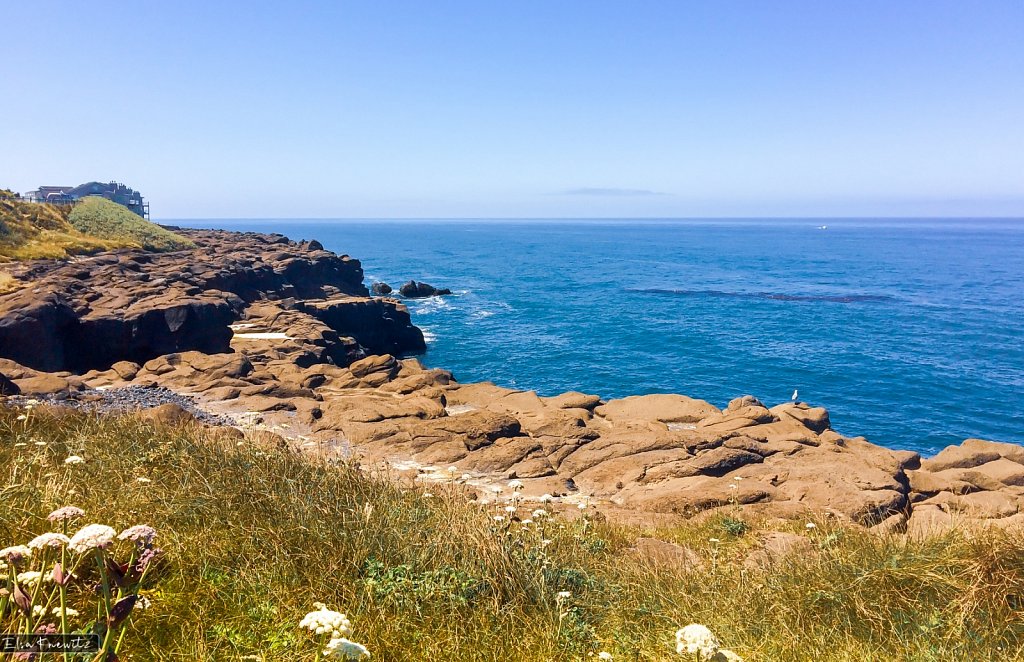 Pacific Coastline