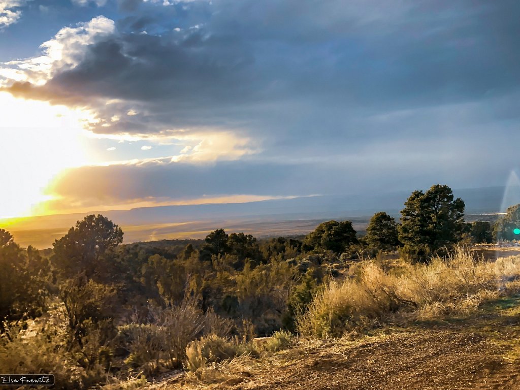 God's Creation