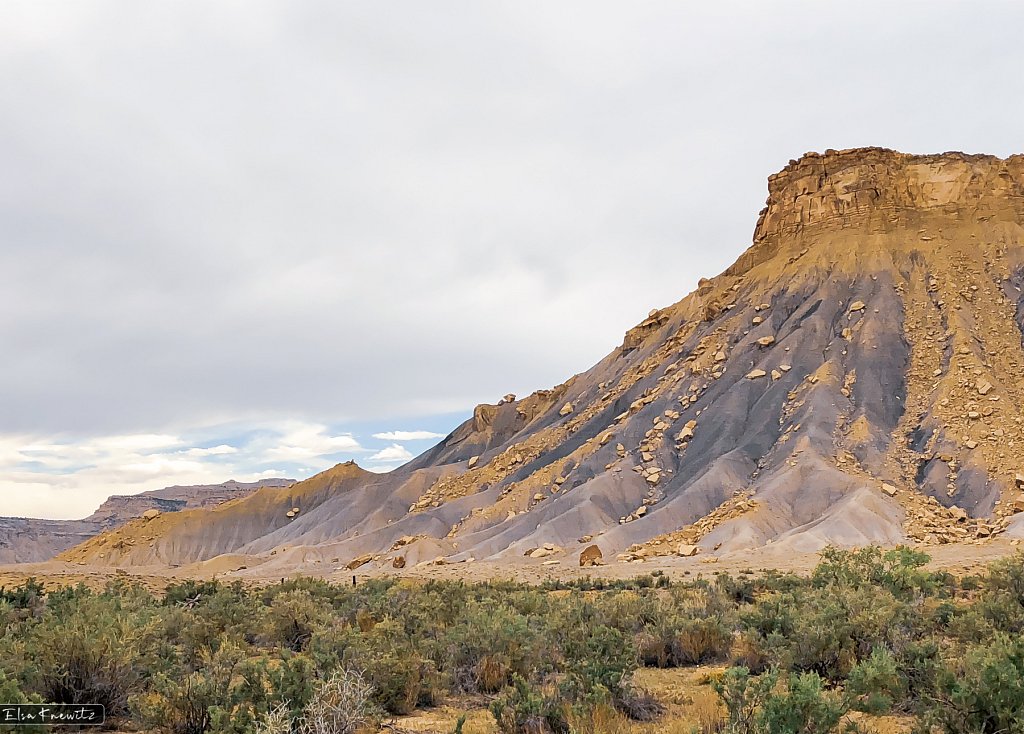 Golden Hills