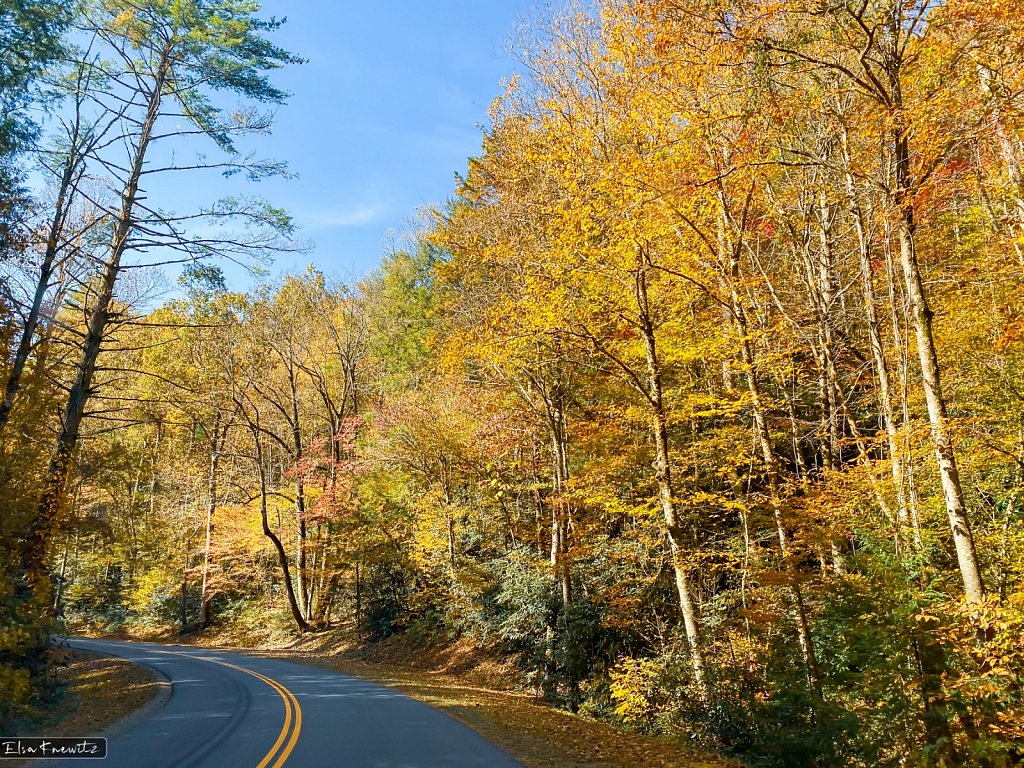The Last Days of Fall