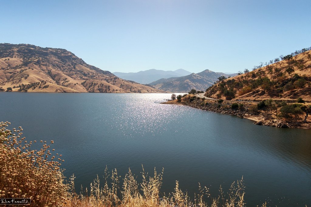 Morning Hour at the Lake