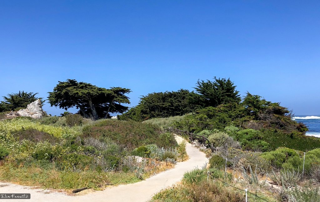 Peaceful Walk
