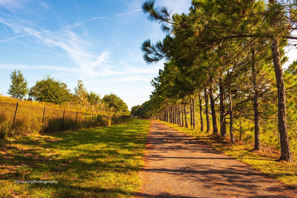 The Bike Trail
