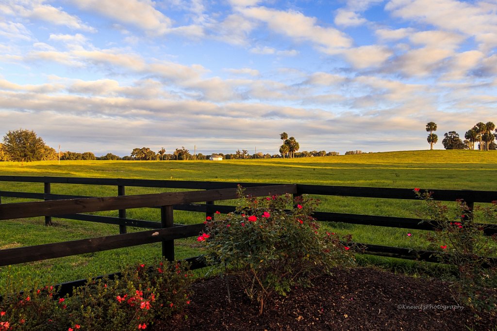 Florida Farmland