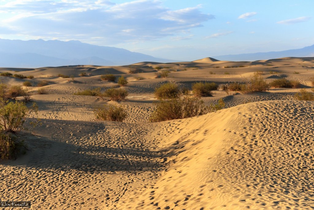 Mesquite Dunes