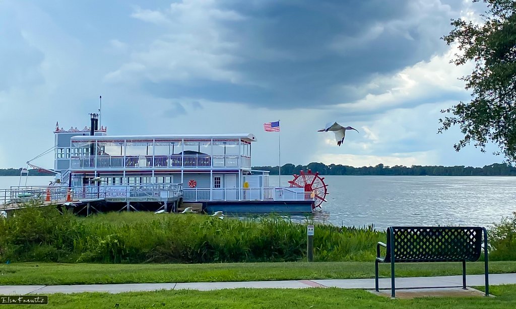 Lake Dora in Florida