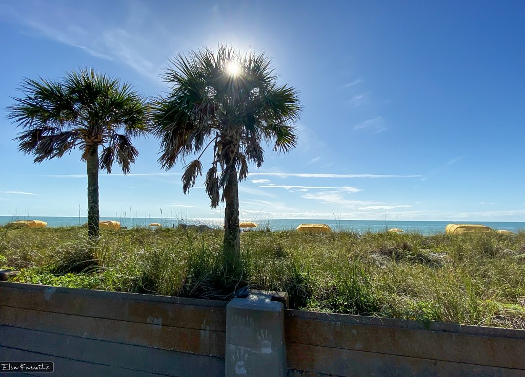 Florida Beach