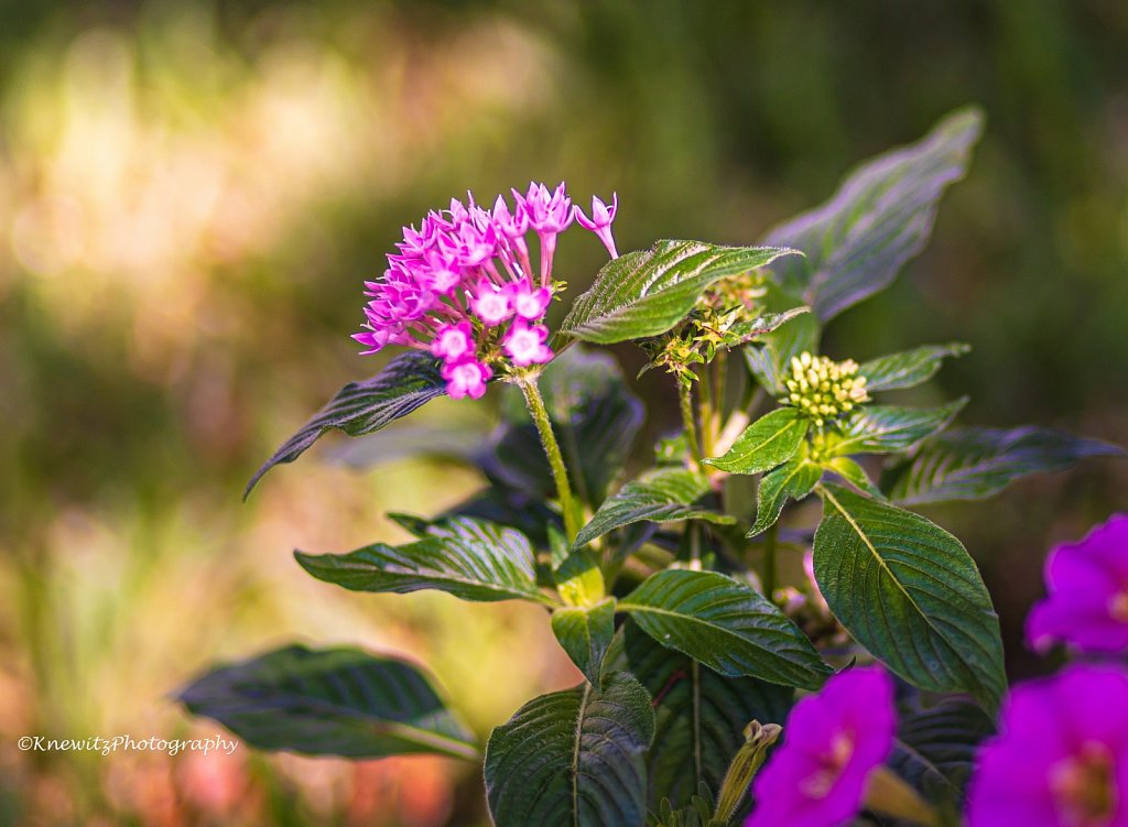 99DB4D72-6776-4DED-A8B5-A43009E370EB.jpeg