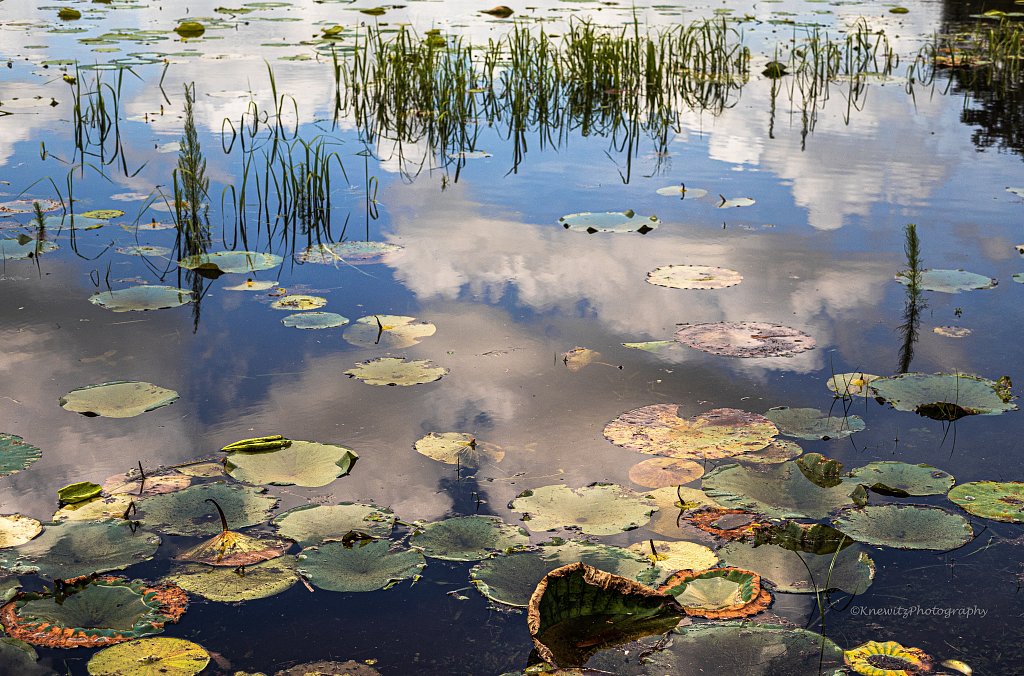 McKethan Lake, FL
