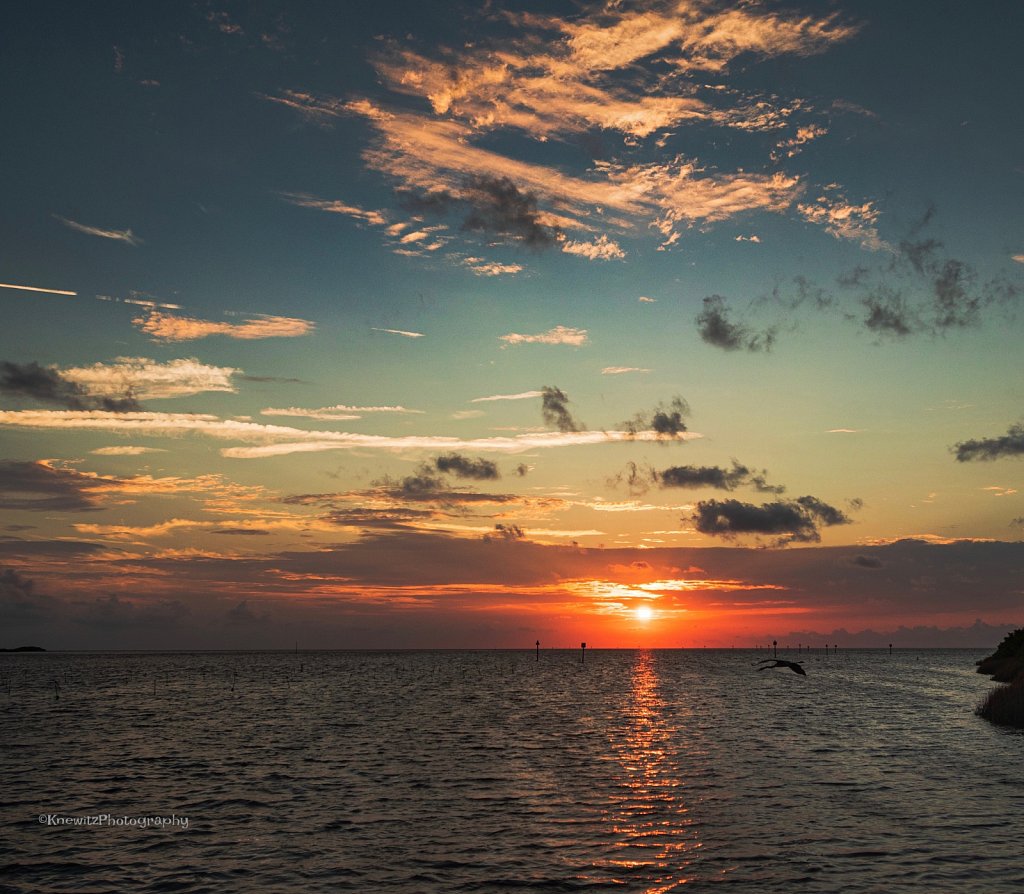 2A0F6500-84BE-4CEB-BD74-B195C650FDAF.jpeg