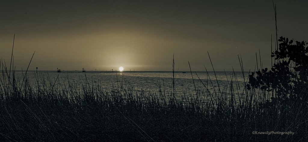 632A1C6E-EF0F-4085-86CF-8CF21D093A49.jpeg