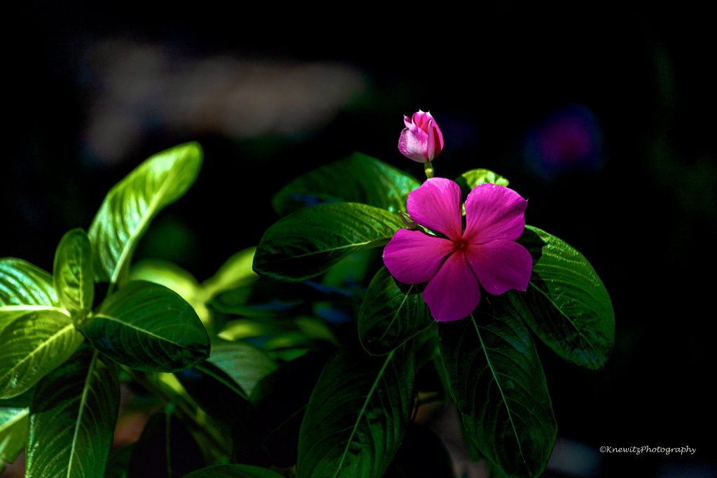 D9191951-A528-4892-9464-C7F1A5A8478E.jpeg