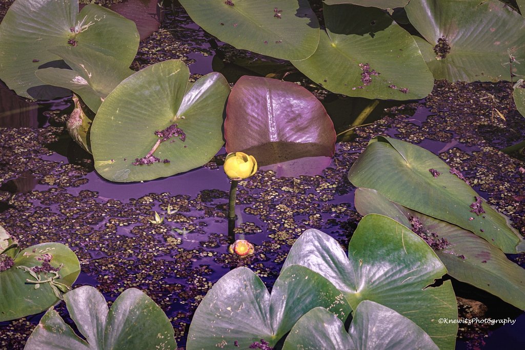 5F14E08D-22A3-4896-A207-5331D377124D.jpeg
