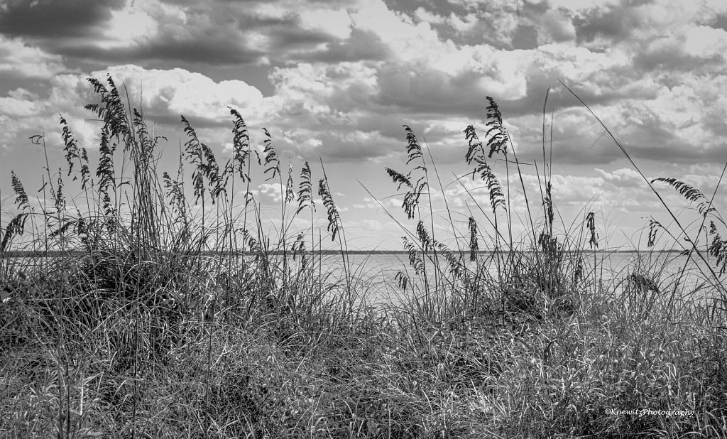 26D56249-9BCA-4819-8B1B-FCCE6A8F991C.jpeg